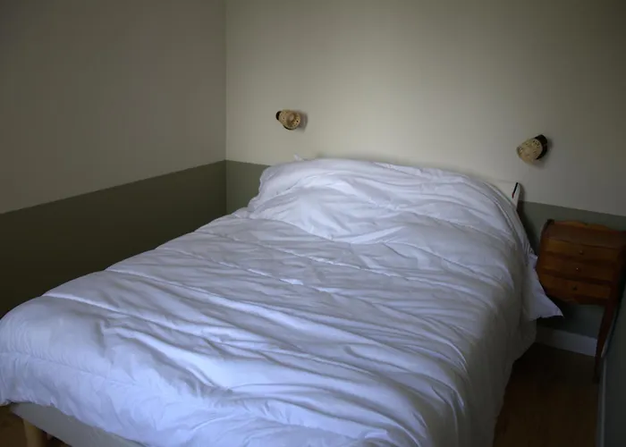 Maison Avec Jardin, Centre Et à Pieds